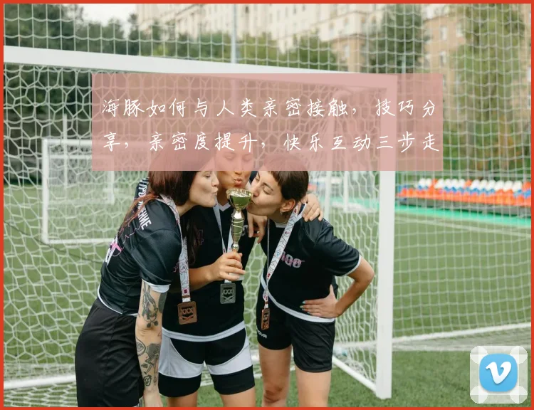 海豚如何与人类亲密接触，技巧分享，亲密度提升，快乐互动三步走，必看攻略