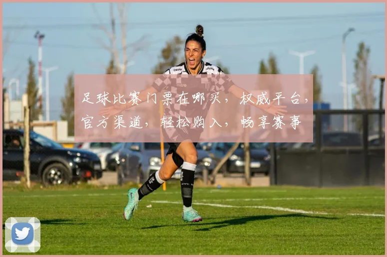 足球比赛门票在哪买，权威平台，官方渠道，轻松购入，畅享赛事