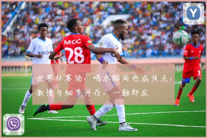 世界杯赛场，喝水瞬间也成焦点，激情与细节并存，一触即发