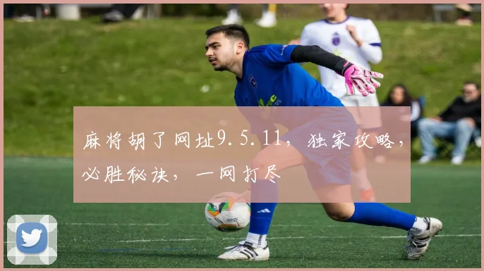 麻将胡了网址9.5.11，独家攻略，必胜秘诀，一网打尽