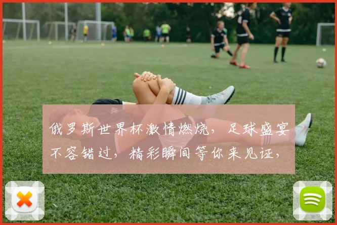 俄罗斯世界杯激情燃烧，足球盛宴不容错过，精彩瞬间等你来见证，赛事前瞻，不容错过