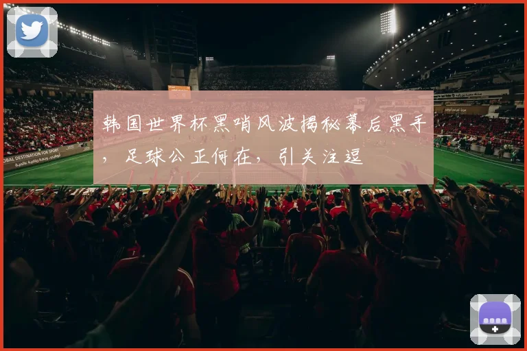 韩国世界杯黑哨风波揭秘幕后黑手，足球公正何在，引关注逗